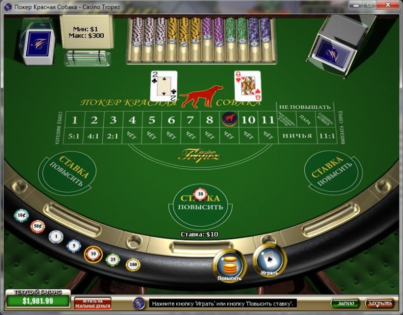 Красная собака - Red Dog